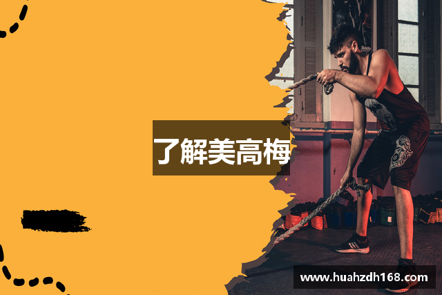 了解美高梅